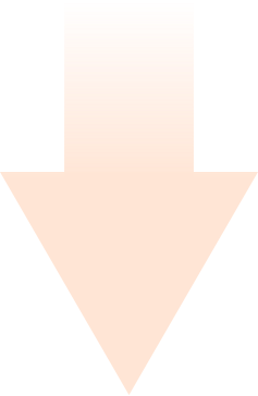 lp5.png